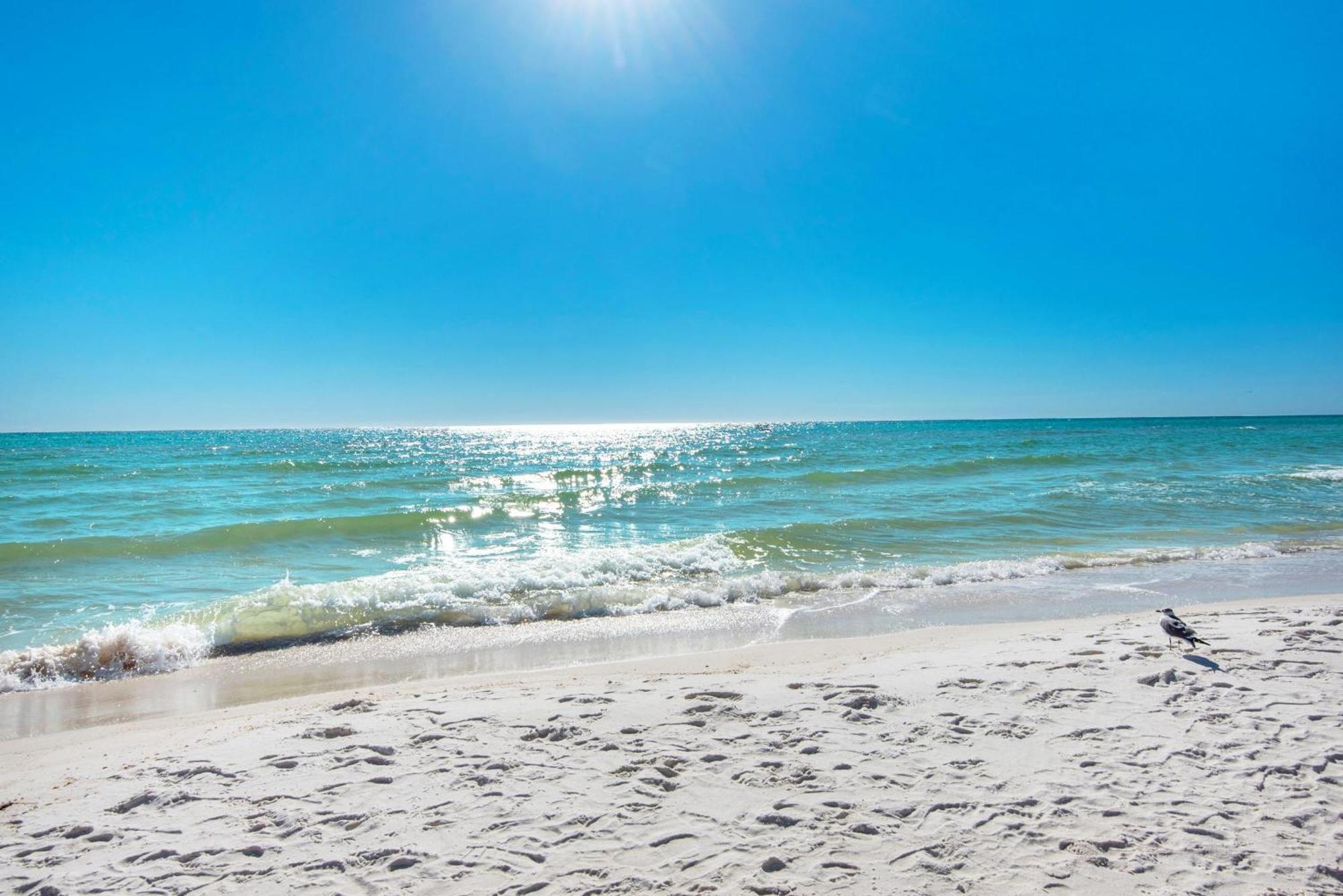 Shores Of Panama 1802 Panama City Beach Kültér fotó